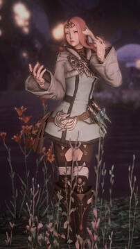 Wandering Medic